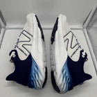 Size 11 Men’s- New Balance Fresh Foam Roav V2