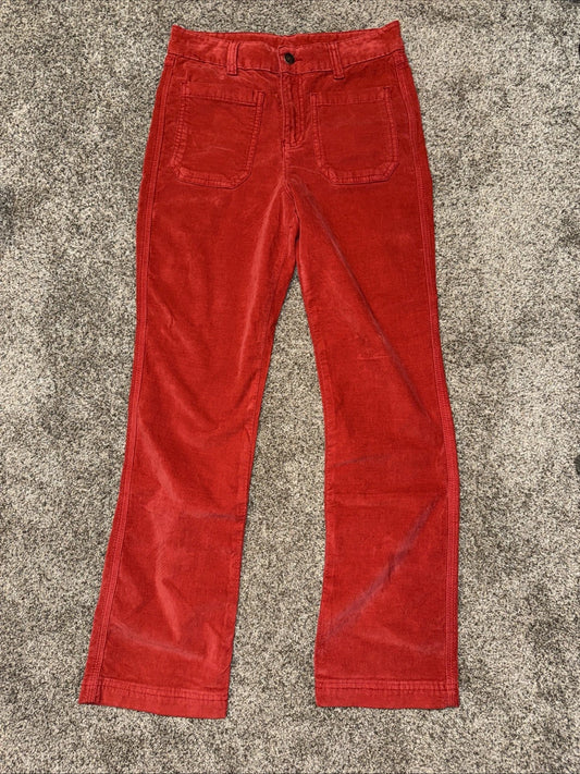 Women’s Size 6 Free People Pants Velvet