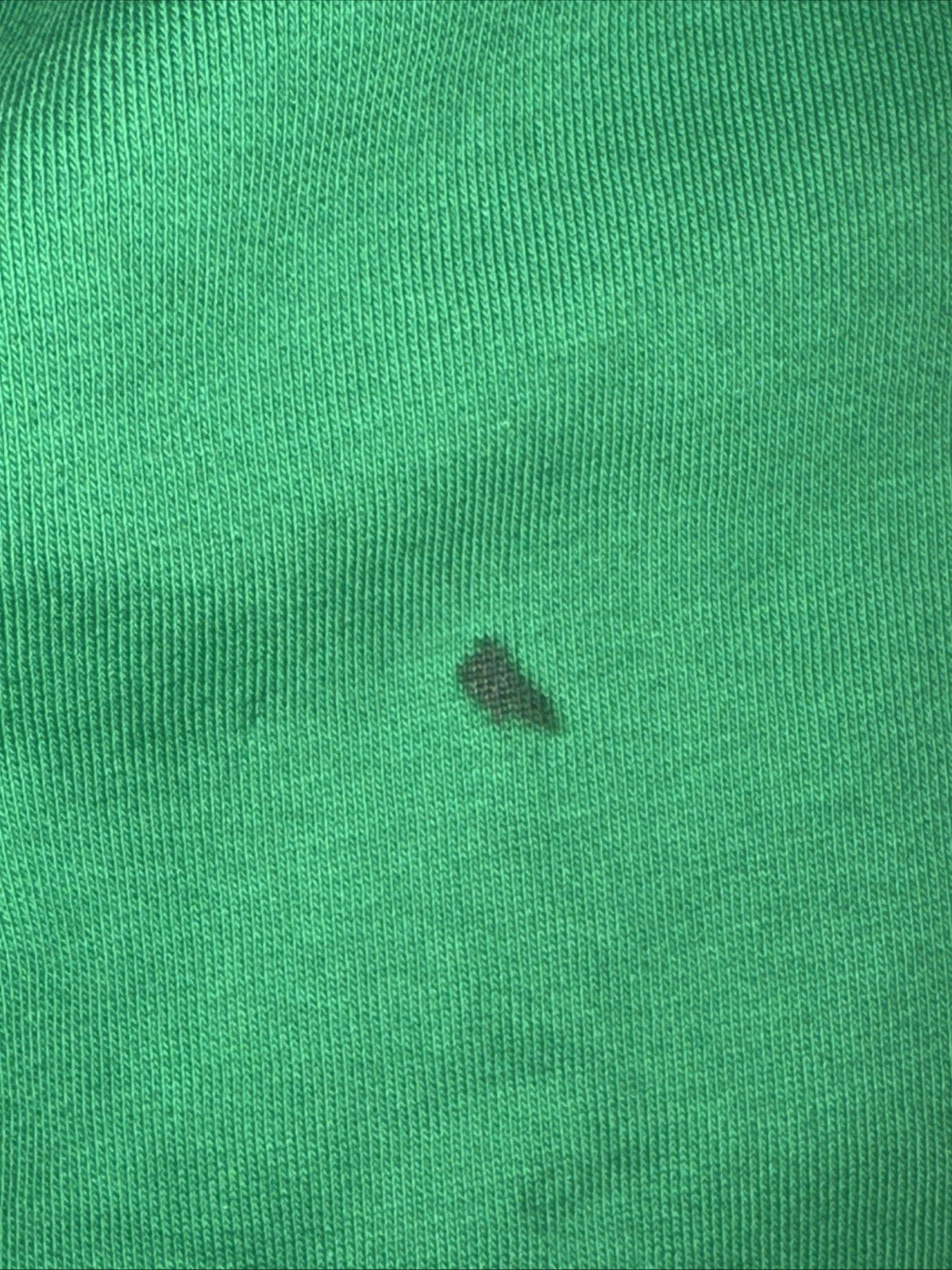Men’s Size Medium Polo By Ralph Lauren Polo Ski 92 Hoodie Green