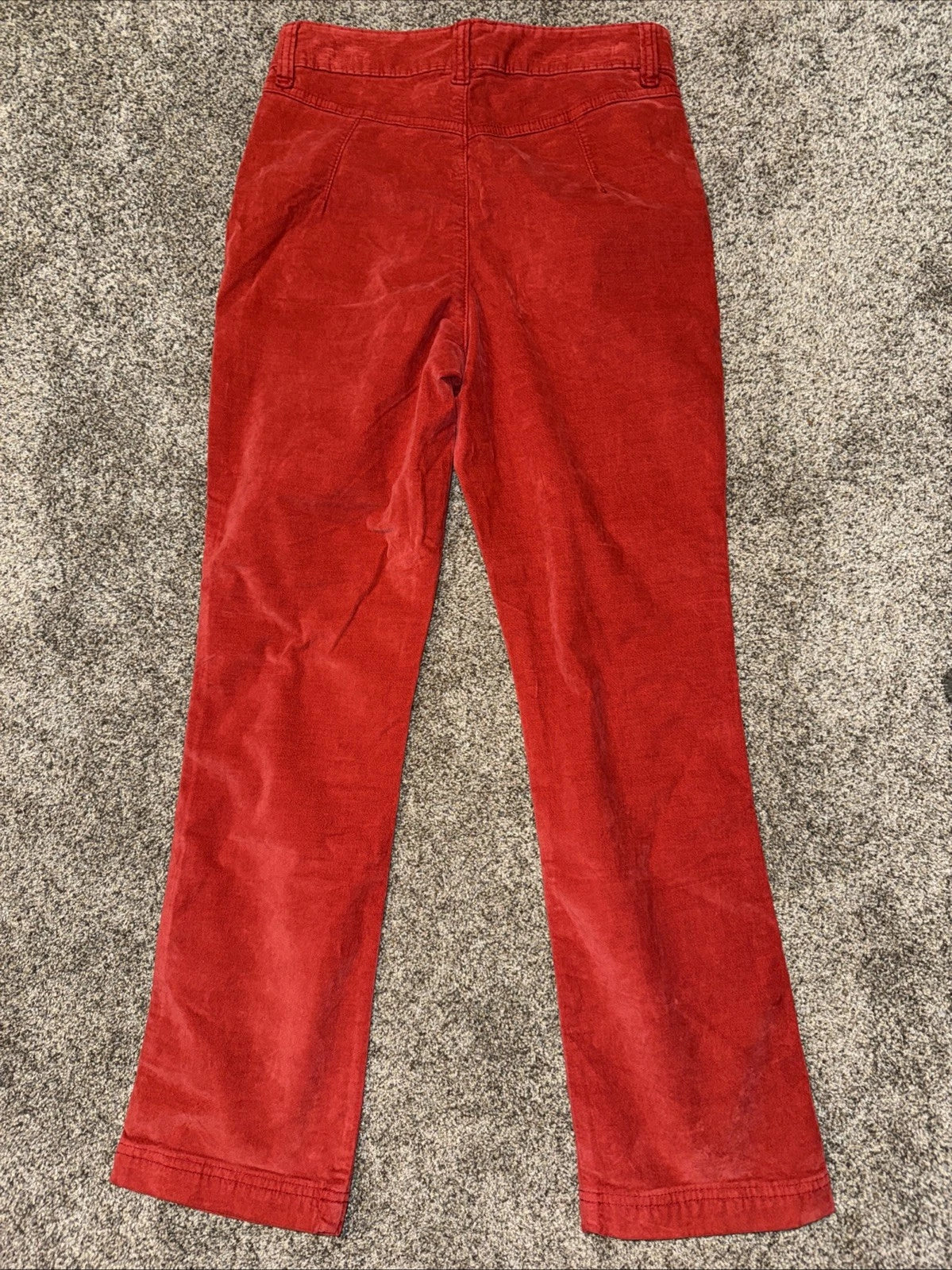 Women’s Size 6 Free People Pants Velvet
