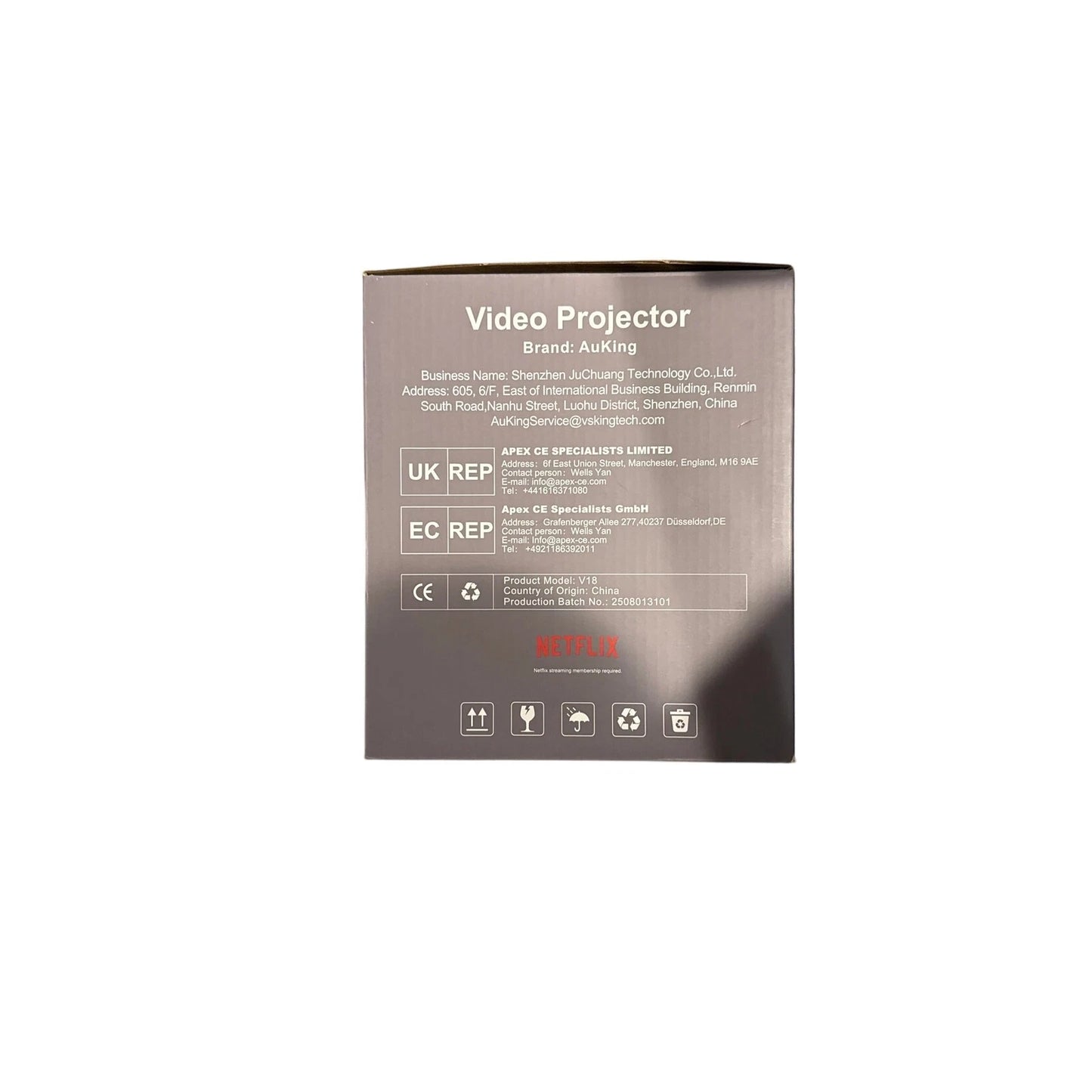 AuKing Video Projector